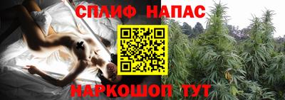 ECSTASY Бугуруслан